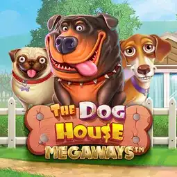 The Dog House Megaways gra w Gonzo Casino dla graczy z Polski