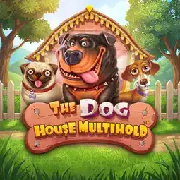 The Dog House Multihold gra w Gonzo Casino dla graczy z Polski